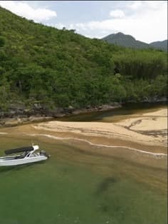 Praia preservada cercada por vegetação vista do alto