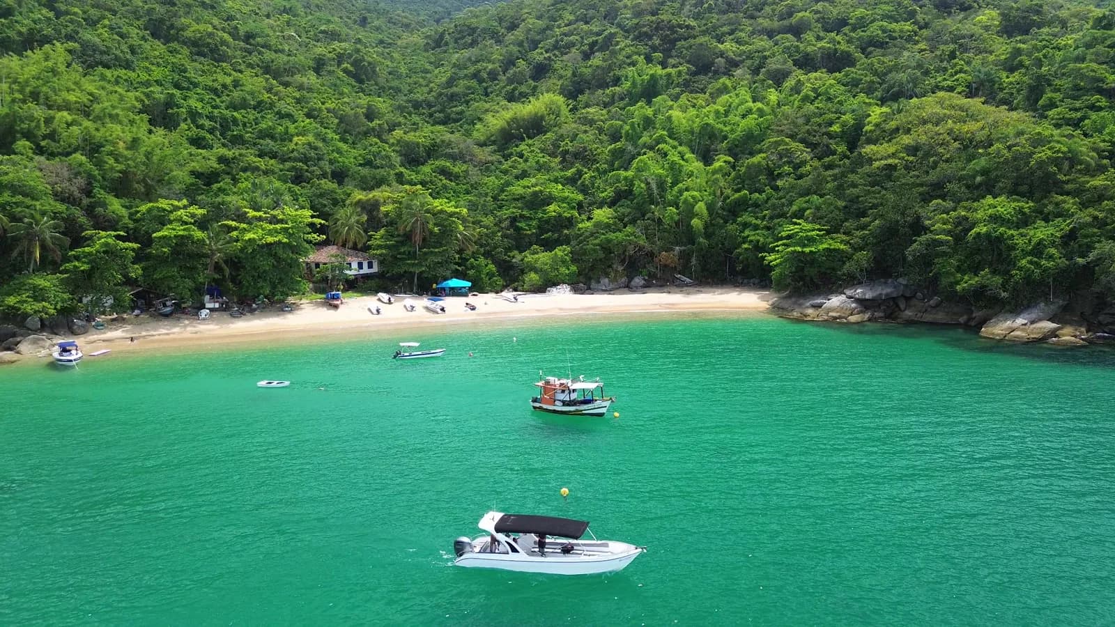 Praia com vegetação densa e embarcações vista do alto